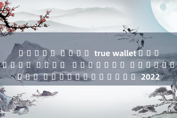 สล็อต เติม true wallet ฝาก-ถอน ไม่มี ขั้น ต่ํา  แตกง่าย ยอดเยี่ยมมาก 2022